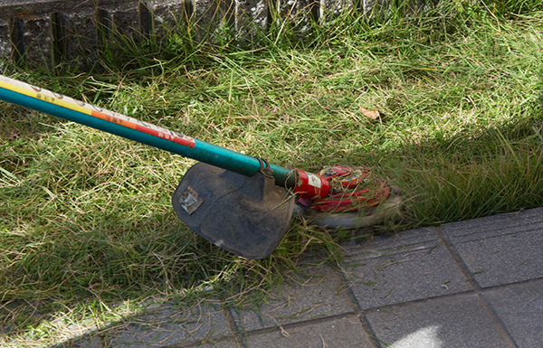 導入後の効果はいかがでしたでしょうか