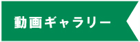 動画ギャラリー