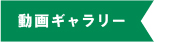 動画ギャラリー