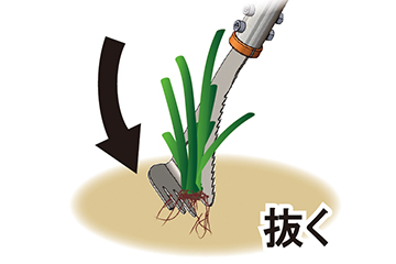 抜く
