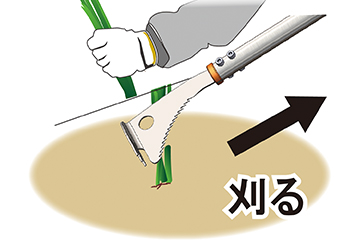 刈る